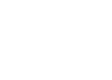 Anine-Bing_logo